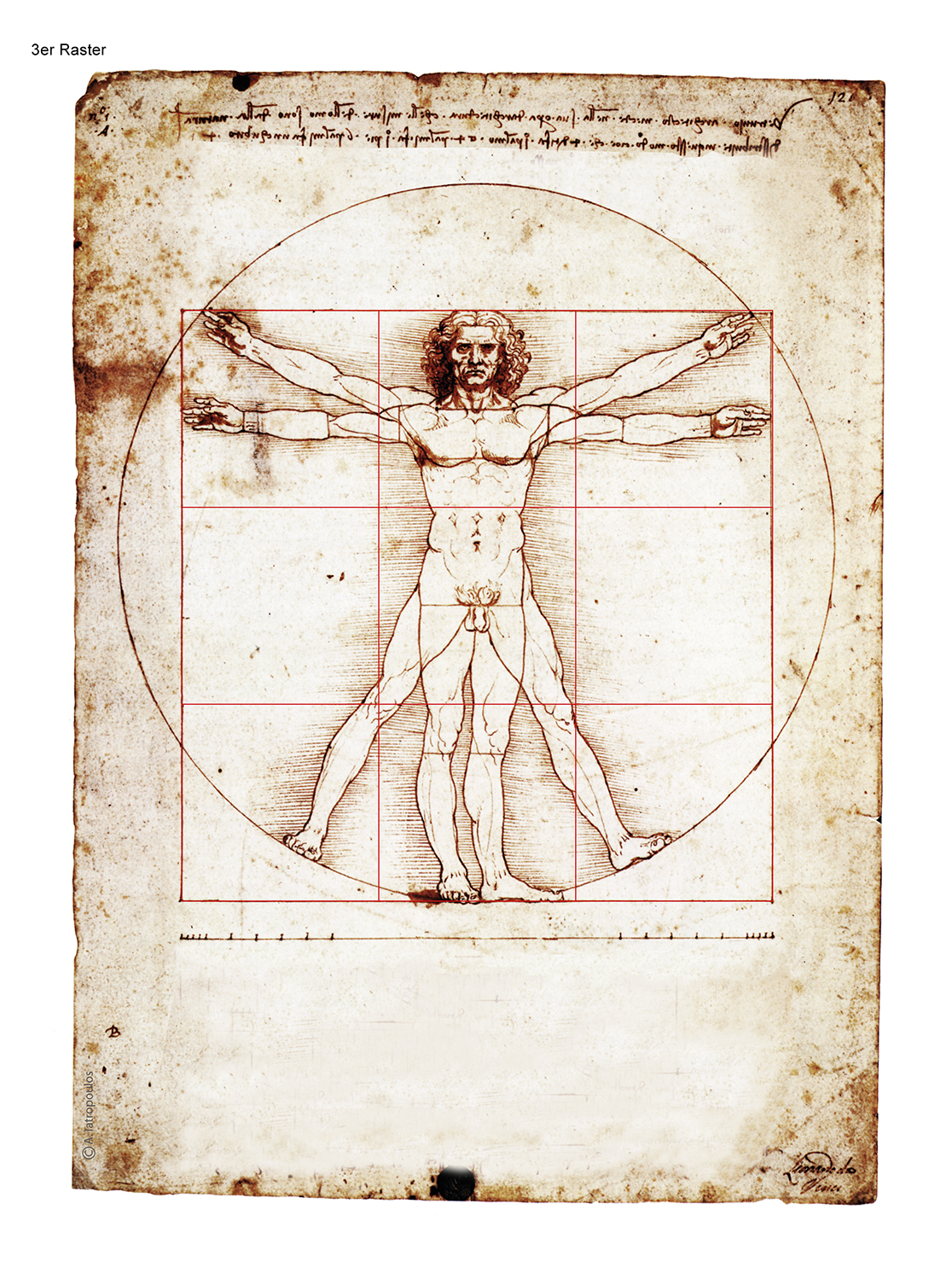 023-Raster-Serie-3er Leonardo daVinci