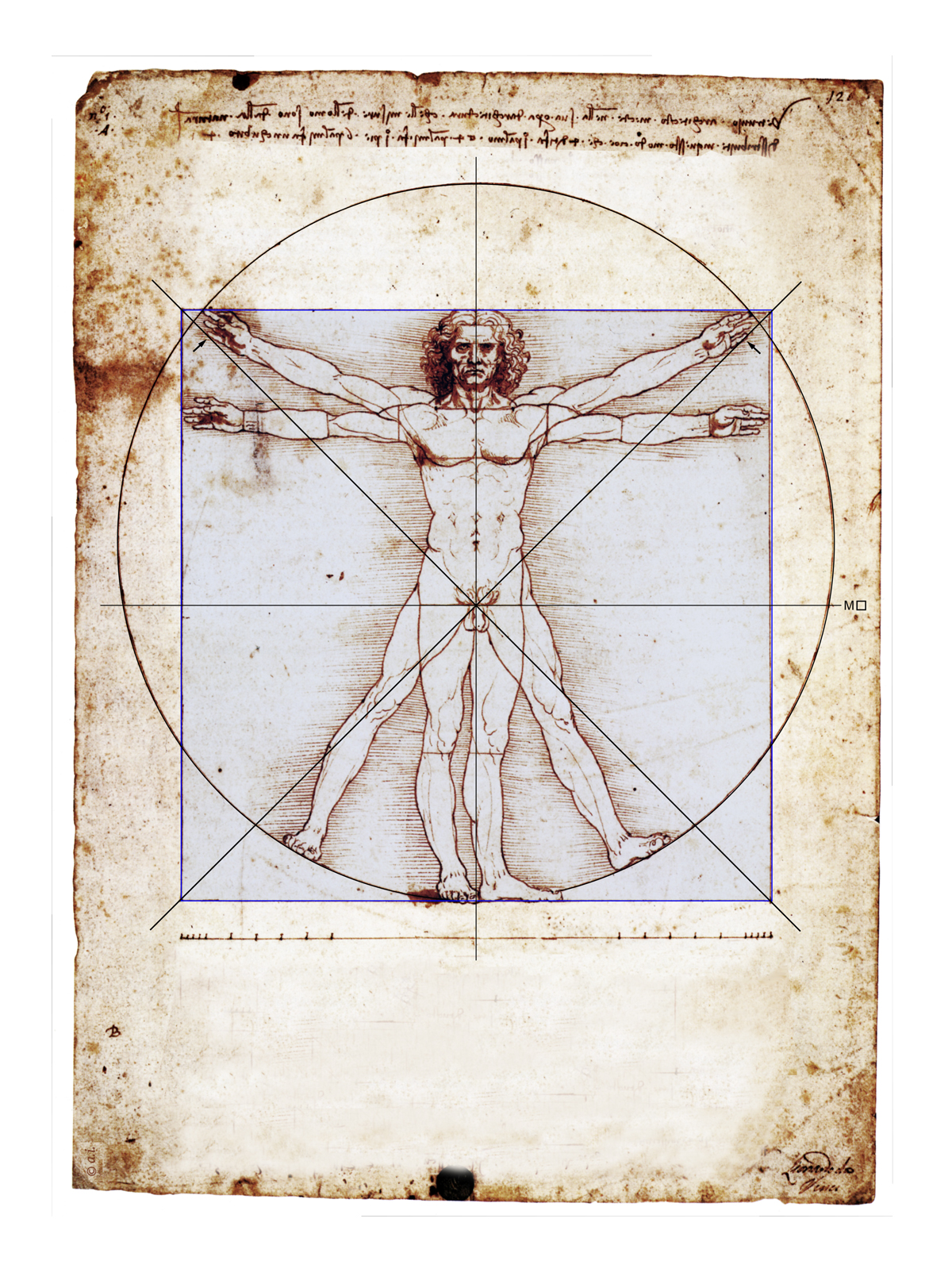 Leonardo da Vinci, da Vinci, Vitruv, Vitruvian, Mensch im Kreis, Mann im Kreis, Qadratur des Kreises, Goldener Schnitt, Kreiszahl Pi, Mona Lisa