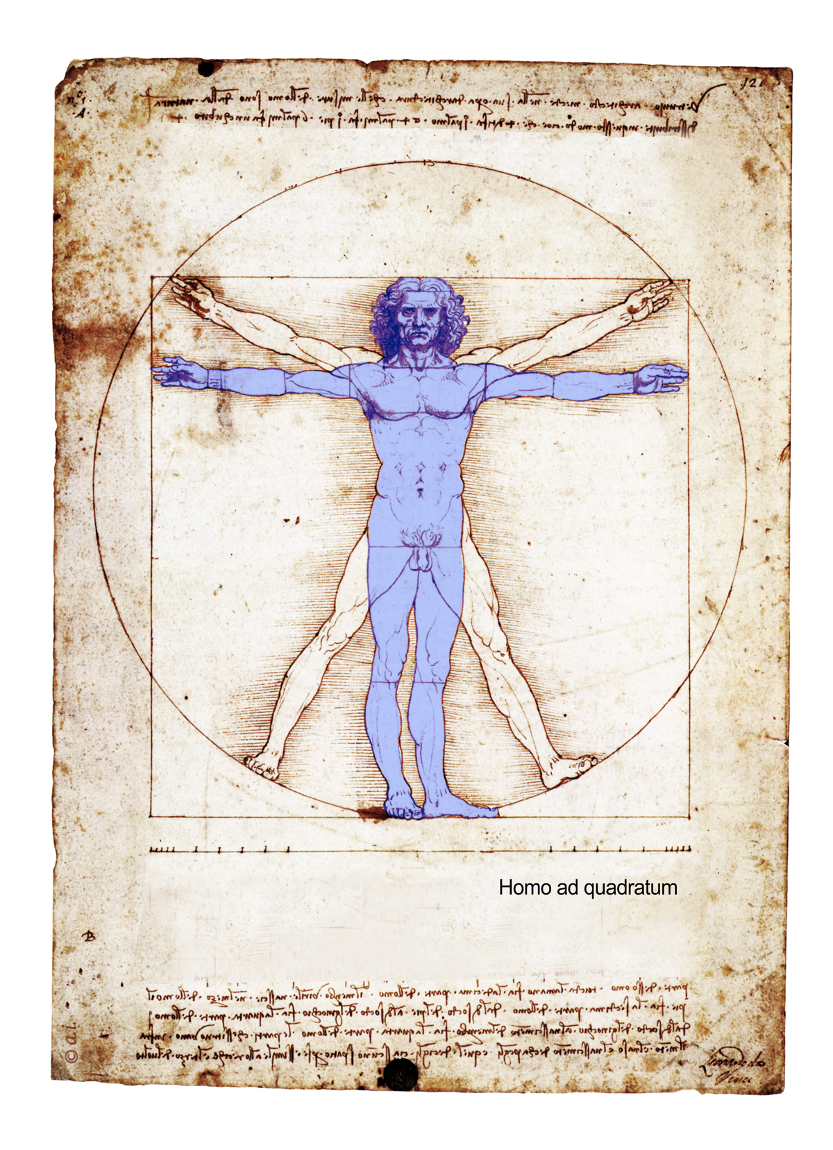 006-Uomo-quadraticus Leonardo da Vinci, da Vinci, Vitruv, Vitruvian, Mensch im Kreis, Mann im Kreis, Qadratur des Kreises, Goldener Schnitt, Kreiszahl Pi, Mona Lisa