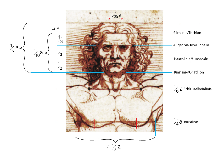 Leonardo da Vinci, da Vinci, Vitruv, Vitruvian, Mensch im Kreis, Mann im Kreis, Qadratur des Kreises, Goldener Schnitt, Kreiszahl Pi, Mona Lisa